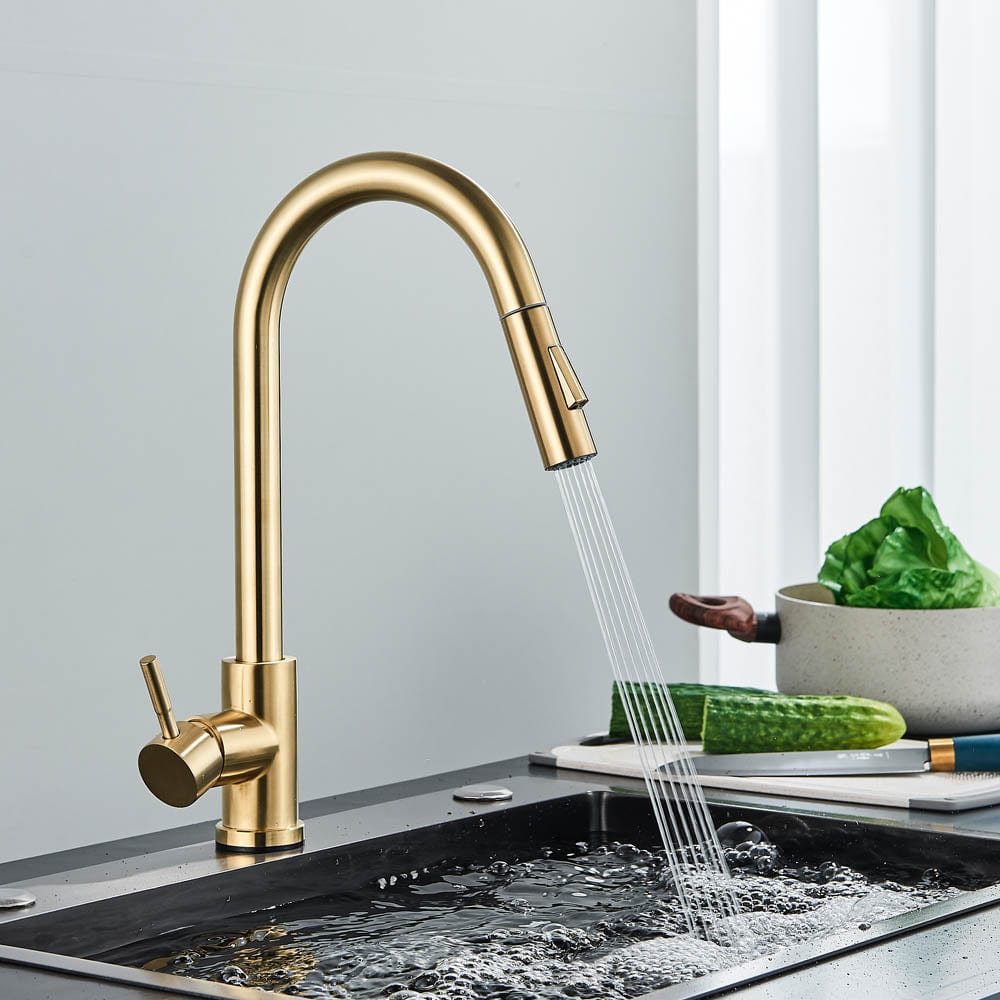 Baterie profesionala, cu senzor de pornire la atingere si dus extractibil, cod 1215