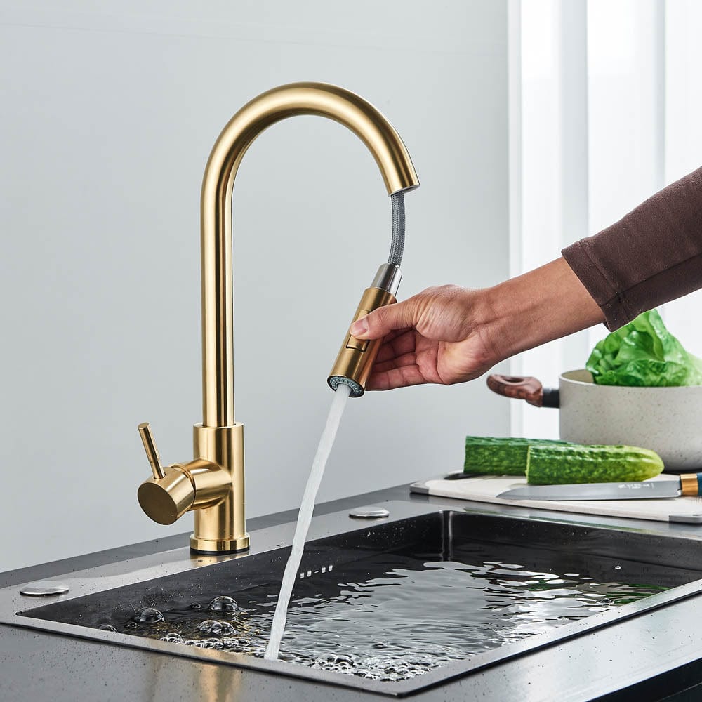 Baterie profesionala, cu senzor de pornire la atingere si dus extractibil, cod 1215