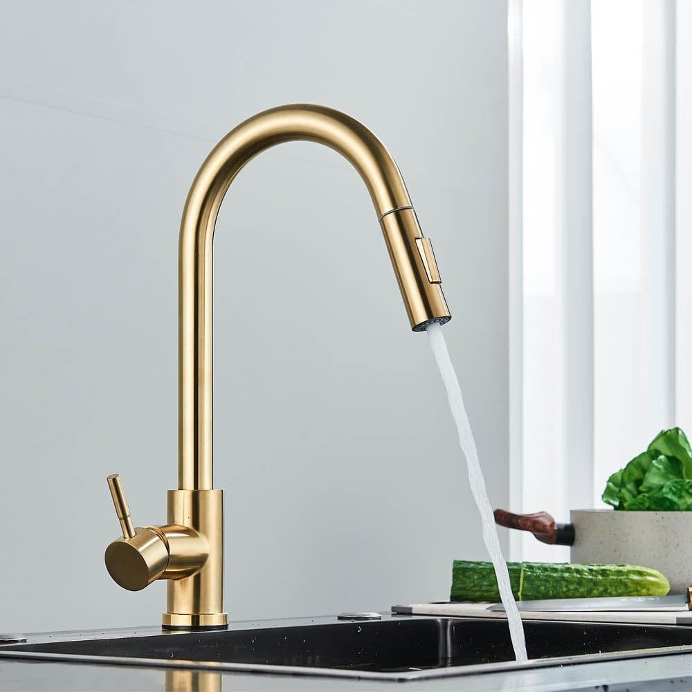 Baterie profesionala, cu senzor de pornire la atingere si dus extractibil, cod 1215