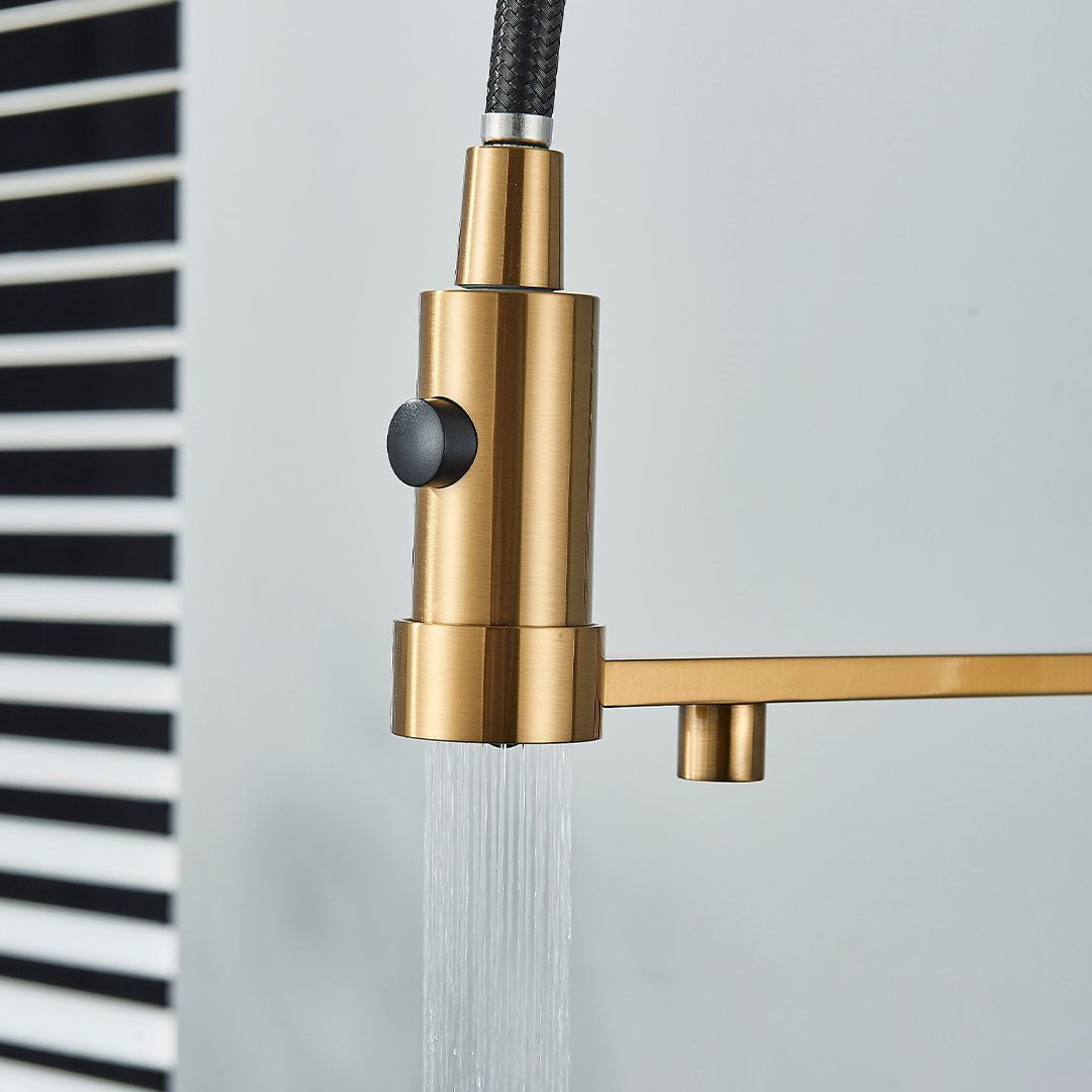 Baterie profesionala de bucatarie, cu dus flexibil, pipa pentru apa filtrata, auriu periat, cod 1658