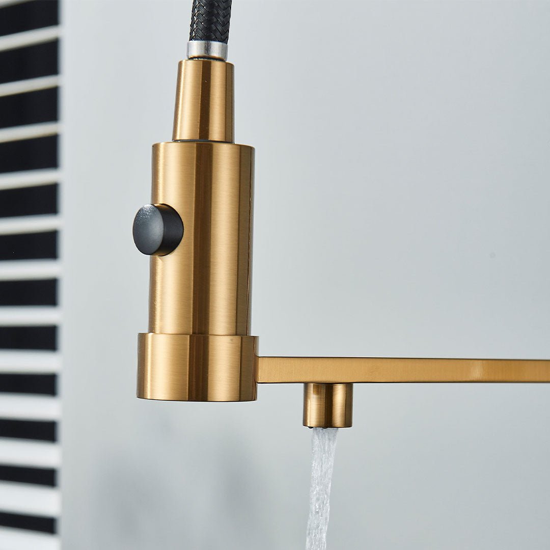 Baterie profesionala de bucatarie, cu dus flexibil, pipa pentru apa filtrata, auriu periat, cod 1658