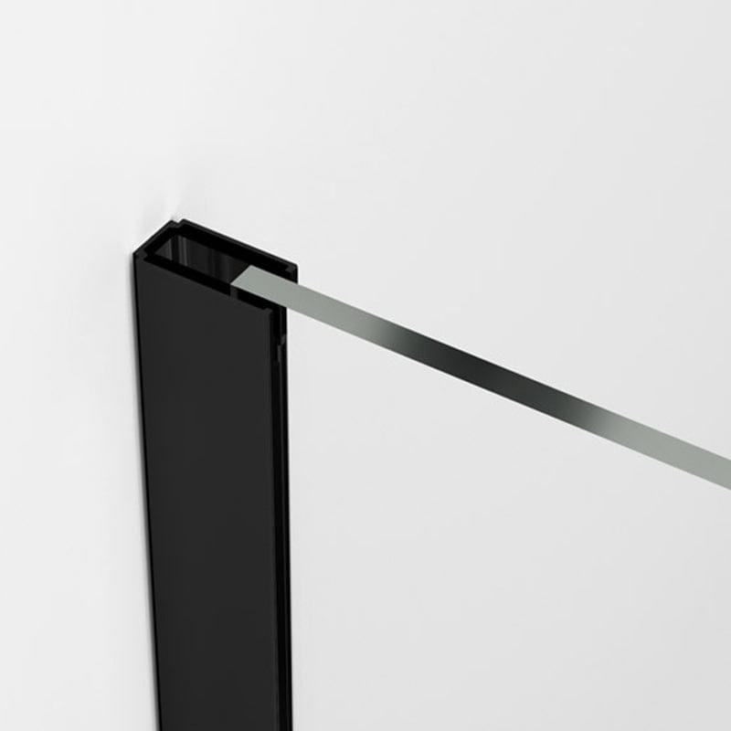 Paravan de duș Easy Black, SanSwiss, negru mat - 100 cm