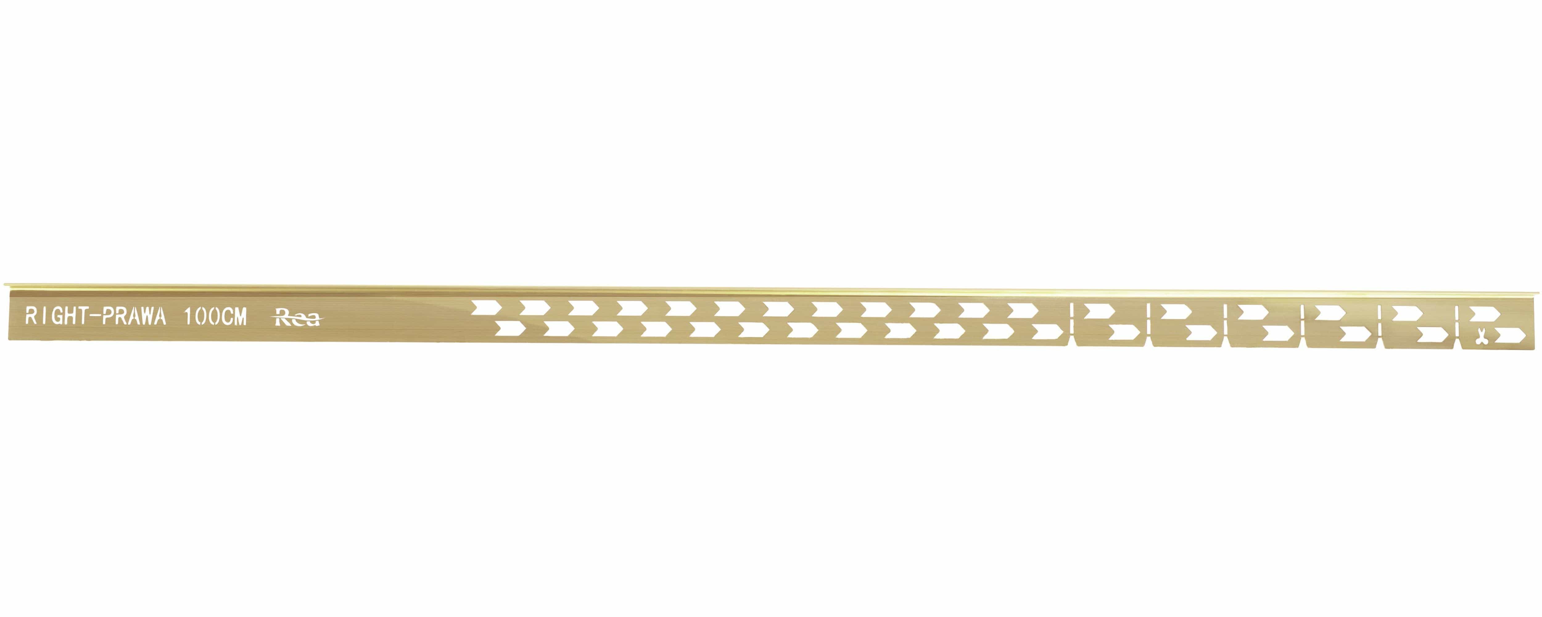 Profil de panta cadita de dus Rea, auriu periat, 100 cm