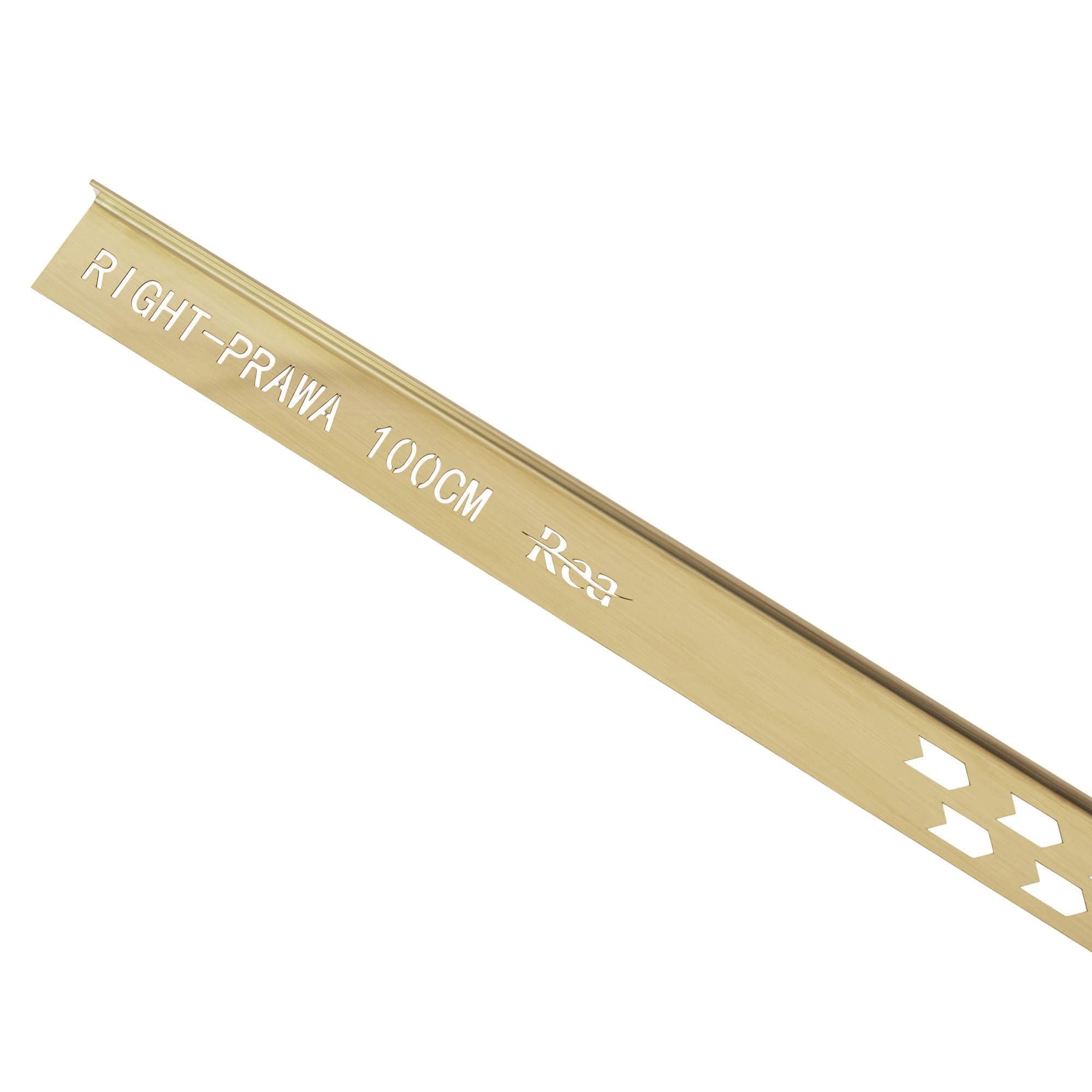 Profil de panta cadita de dus Rea, auriu periat, 100 cm